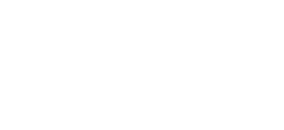 Partner 4