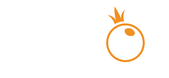 Partner 5
